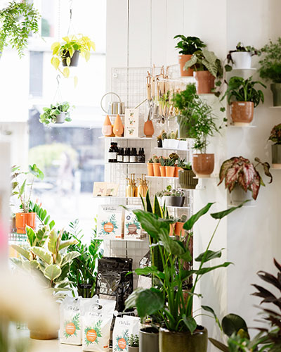 plantes et jardinerie