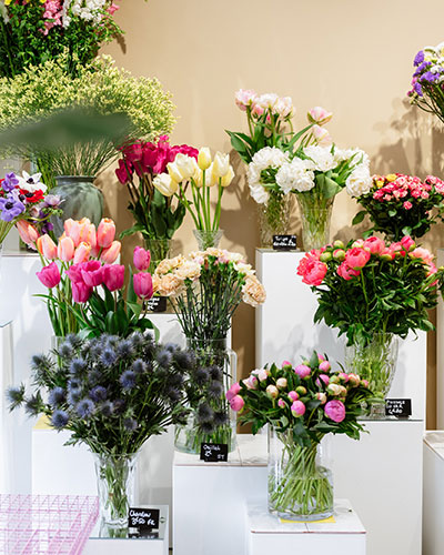 fleurs